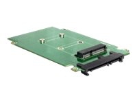 Delock Converter SATA 22 pin > mSATA – Kontrollerkort – mSATA – SATA 3Gb/s – SATA 3Gb/s