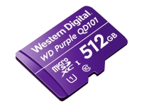 Purple SC QD101