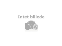Belkin InvisiGlass – Skärmskydd för mobiltelefon – ramfärg svart – för Apple iPhone 11 XR