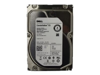 Dell – Hårddisk – 900 GB – 2,5 – SAS – 10000 rpm