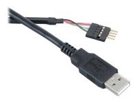 Akasa EXUSBIE-40 – USB-kabel – USB (hane) – USB 2.0 – 40 cm – svart