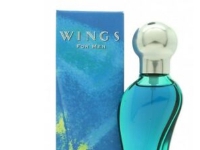 Giorgio Beverly Hills Wings Edt Spray - Mand - 30 ml Husstand - Personlig pleie - Parfyme