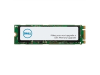 DELL MGNHV 256 GB M.2 6 Gbit/sek.