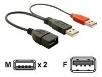 Delock – USB-kabel – USB USB (endast ström) (hane) till USB (hona) – USB 2.0 – 23 cm