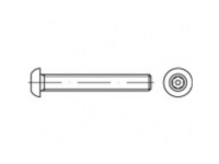 TOOLCRAFT TO-5380074 Sikkerhedsskruer M12 25 mm Indvendig sekskant med stift 88113 Rustfrit stål A2 500 stk