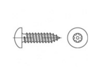 TOOLCRAFT TO-5380128 Sikkerhedsskruer 6.3 mm 16 mm Invendig sekskant 88114 Rustfrit stål A2 100 stk