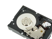 Dell – Hårddisk – 300 GB – 2,5 – SAS 6Gb/s – 10000 rpm – renoverad