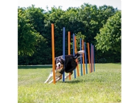 Trixie Agility Slalompinner 12-pack
