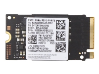 Samsung – SSD – 256 GB – inbyggd – M.2 2242 – PCIe 3.0 x4 (NVMe) – FRU – för IdeaCentre C5 14IMB05  G5 14AMR05  IdeaCentre Mini 5 01IMH05  ThinkCentre M80  V50s-07