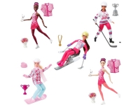 Barbie Winter Sports (1 pcs) - Assorted Leker - Figurer og dukker - Mote dukker
