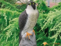 Ubbink Ubbink Falcon figur 40 cm Hagen - Tilbehør til hagen - Diverse