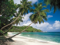 Bilde av Komar Seychellerne Sd308 368 X 254cm
