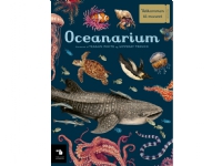 Bilde av Oceanarium | Teagan White & Loveday Trinick | Språk: Dansk