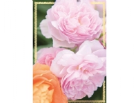 KUKARTKA-kort B6 PP-2147 Blomster (uten tekst)