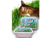 Super Benek CERTECH KITTY GRASS DUET