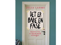 Bilde av Det Er Bare En Fase | Julia Lahme | Språk: Dansk