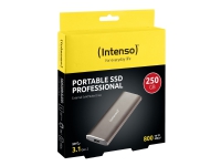 Intenso Professional - SSD - 250 GB - extern (bärbar) - USB 3.1 Gen 2 (USB-C stikforbindelse) - metalbrun