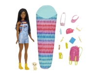 Barbie It takes two! Camping playset – Brooklyn doll puppy and accessories