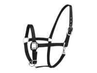 Halter Excellent Black Pony