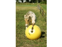 Maximus Power Play Ball 100cm 1 st Kjæledyr - Hest - Godbiter og slikker