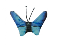 Wild Life Collection Wild Life Cat Blue Butterfly