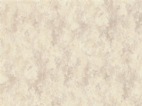 Rasch Wallpaper 972818 Fiesta