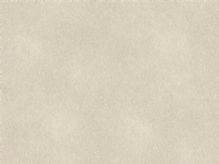 Rasch Wallpaper 973013 Fiesta