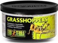 Exo Terra Hermetikk - gresshoppe, 34g