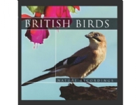 Bilde av British Birds Cd
