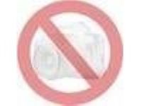 WoodWick Sun Ripened Berries, Ellipse, Rød, Hagerips, Blackberry, Spice, 1 stykker