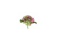 LEONARDO 18683 Grön Rosa Flowers 1 styck 180 mm