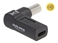 Delock – Strömadapter – USB-C (hona) till likströmskontakt 7,9 x 5,5 mm (hane) – 20 V – 3 A – vinklad – svart