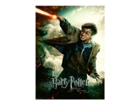 Bilde av Ravensburger Xxl - Harry Potter's Magical World - Puslespill - 100 Deler