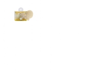 Daily Concepts Baby's Chamomille Konjac Sponge Badsvamp för babybad