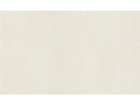 Rasch Wallpaper 973006 Fiesta