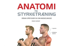 Anatomi og styrketræning   Craig Ramsay   Språk: Dansk