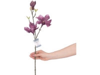 AmeliaHome Artificial magnolia flower purple AmeliaHome