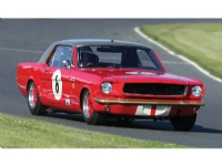 Bilde av Mustang Alan Mann Racing Henry Mann & Steve Soper