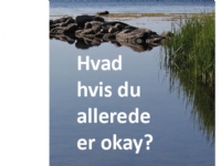 Bilde av Hvad Hvis Du Allerede Er Okay? | Kirja Horst Frederiksen | Språk: Dansk