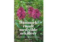 Bilde av Danmark Rundt Med Vilde Orkidéer | Svend Klarskov | Språk: Dansk