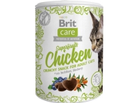 Bilde av Brit Care Cat Snack Superfruits Chicken 100 G - (6 Pk/ps)