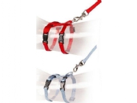Duvo+ DUVO+ seler til kattunger rød/blå 15-25cm / 8mm-125cm