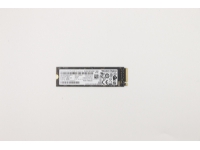 Lenovo WD – SSD – 256 GB – inbyggd – M.2 2280