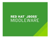 JBoss Fuse with Management - Standardabonnement (1 år) - 64 kjerner PC tilbehør - Programvare - Nettverk