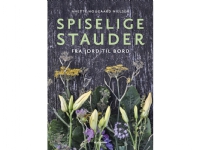 Spiselige stauder