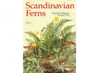 Scandinavian Ferns   Benjamin Øllgaard   Språk: Engelsk