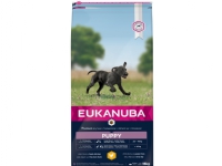 Eukanuba Euk Puppy Large Breed 15 kg Kjæledyr - Hund - - Tørr hundemat