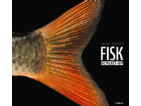 FISK – scaled-up | Søren Skarby | Språk: Dansk Bøker - Naturen