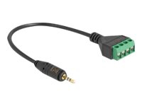 Delock - Audio-adapter - 2.5 mm 4-pin stereo jack hane till 4 stifts terminalblock - 20 cm - svart - 4.25 mm pitch, pin assignment: 1:1