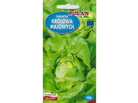 Bilde av Nasiona Lactuca Sativa - Ekte Salat (smørsalat) Frø 1g